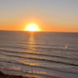 Meet your Posher, Dani